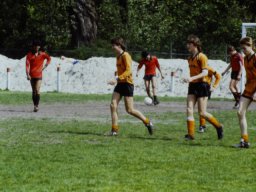 0DIA 1988 RAVA B1